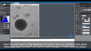 In-Situ Data Processing with GMS 3.4: Exporting Videos from In-Situ Datasets