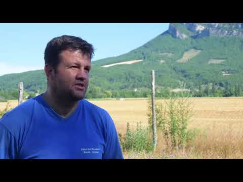 Poulailler Mobile Agriliens Linnovation Agricole Dans La Vallée