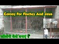 Colony Making For Finches and Java ||  कॉलोनी कैसे बनाए || UB ||