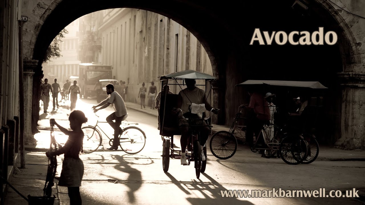 Guarda Latin / Salsa Spanish Guitar Music - Avocado (Mark Barnwell) su YouTube Guarda Latin / Salsa Spanish Guitar Music - Avocado (Mark Barnwell) su YouTube