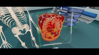 Virtual Medicine - VR DICOM