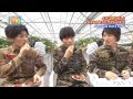 知多半島で狩りだし！DISH イチゴ狩り対決！