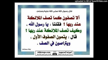 تلاوة للشيخ صابر اللحجي أبو مالك