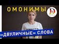 ОМОНИМЫ В НЕМЕЦКОМ ЯЗЫКЕ