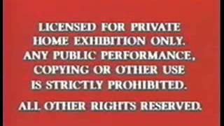 Buena Vista/Touchstone/Walt Disney Warning Screen 1990-1991