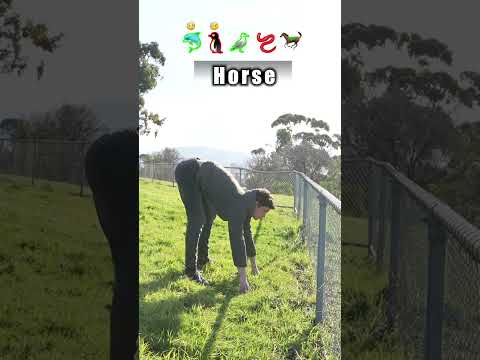 How animals get over a fence 😂 pt2 (With emojis)
