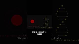 Why Our Universe Is Perfectly Tuned for Life  The Cosmic Evolution Explained!