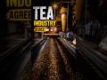 Tea Industry Agree ☕🔥 | Tea Factory Process #shorts