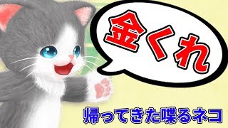 ぶっ飛んだ言葉を喋るネコが帰ってきた - YouTube