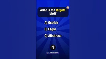6 General Knowledge Questions You’ll Overthink! 🤔 👇 Comment how many you got right!