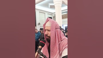 ما تيسر من سورة يوسف القارئ محمد علبي #رمضان #التراويح #صلاة_التراويح #قران #live  #رمضان_كريم
