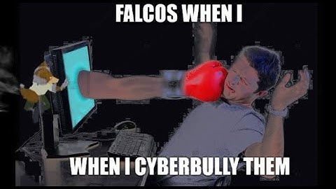 Cyberbullying a Netplay Falco