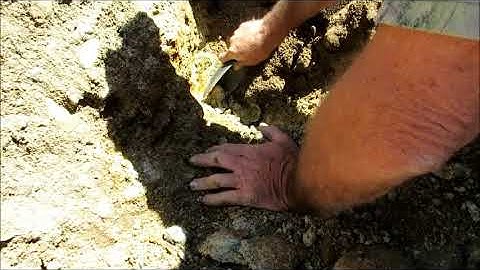 Big Gold Nugget Found with Minelab GPX 5000 & NF EVO Searchcoil