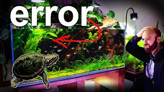 I should NEVER Have Added This Fish!!  + TIMMY The Turtle update | MD Fish Tanks