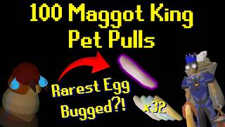 100 Maggot King Pet Pulls (Rarest Egg Pulled, No Pet?!)