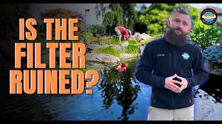 Tearing Apart a 20 Year Old Pond to Fix a Leak!