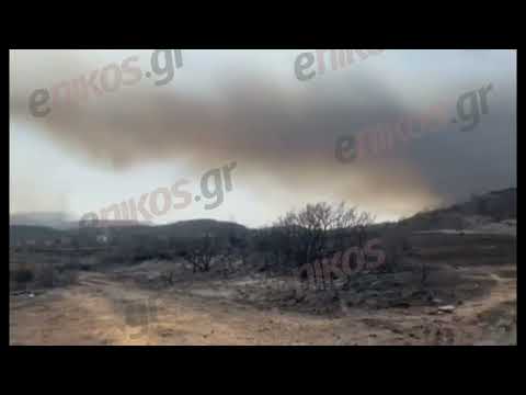enikos.gr - Αυτοψία στον οικισμό Γεννάδι έπειτα από την καταστροφική πυρκαγιά