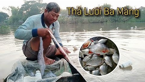 Về Miền Tây Xem Thả Lưới Nổi Bắt Cá Mè Vinh Ở Tây Phú Thoại Sơn An Giang