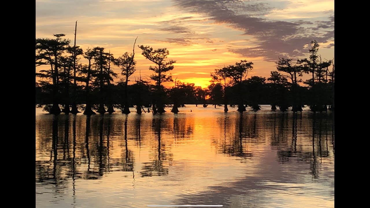 ReelFoot Lake Bluegill Fishing Resort Reviews And Catfishing YouTube