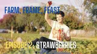 Farm, Frame, Feast Episode 2: Strawberry Season in Tampa Bay