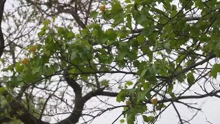 WGEM News Now: April 23