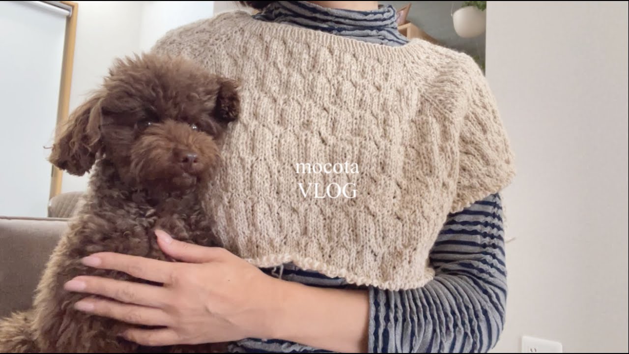 〔VLOG〕年末掃除をしながら、ゆずと編み物に癒される主婦の日常。