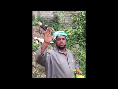 أنواع الليمون