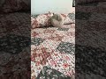 Moody Fall Bedding
