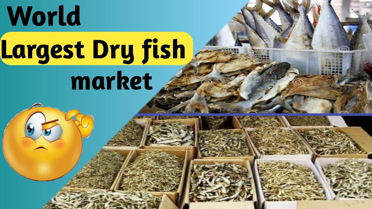 Assamfacts Where is the world largest dry fish market is situated