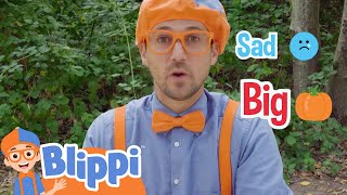 Blippi Visits the Pumpkin Park  | ☆ 英語を学ぶ ☆ ブリッピー 日本語 ☆ 子供け教育動画 Blippi