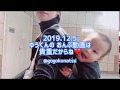【頑張るオカンさん】ゆうくんのおんぶ動画は貴重だよね。