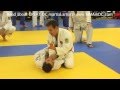 Pedro Sauer Teaches the BJJ Blue Belt Test Part 1