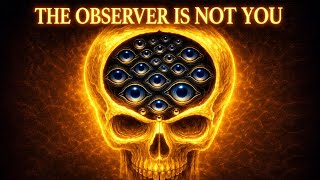 You Are Not Who's Behind Your Eyes (The Observer Revealed)