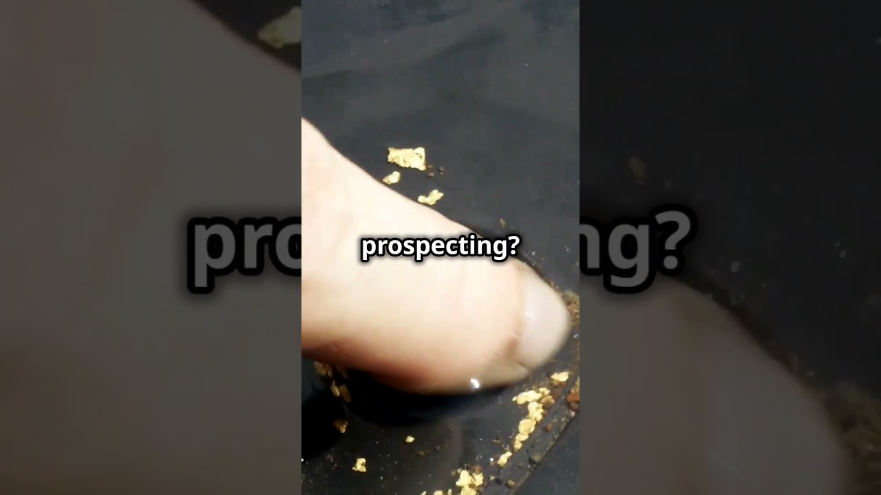 Where to Find Real Gold in Texas! 