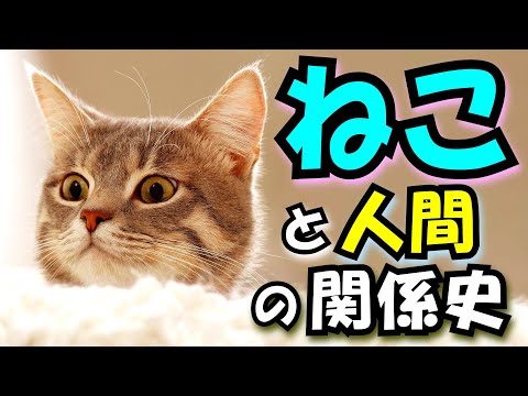 The Journey of Cats and Humans] The Name of Japan's First Recorded