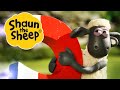 Сорока | Барашек Шон [Shaun the Sheep Full Episode]