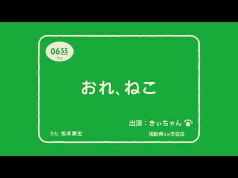おれねこ　きぃちゃん編