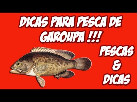 Pescaria de Garoupa dica de materiais a serem utilizados PESCAS & DICAS [HD] (PGM 39)