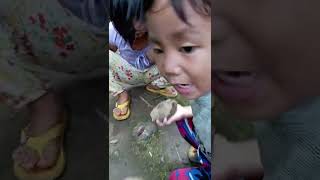 Busy Cracking Pili Nut  shorts