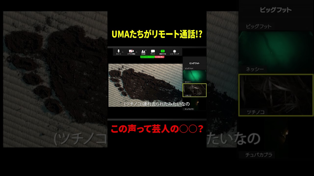 【この声って芸人の〇〇？】UMAたちがリモート通話！？ のサムネイル