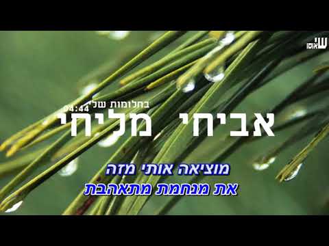 אביחי מליחי בחלומות שלי קריוקי רשמי 