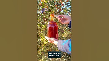 #تلاوة_خاشعة #تلاوة_هادئة #إسلام_صبحي #خواتيم_سورة_المؤمنون #قرآن_كريم #اكسبلور #يقوي #سورة_المؤمنون