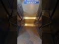 【渡り板】南海50000系電車ラピート　[gangway footplate] Nankai 50000 series train