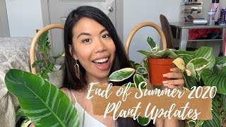 END OF SUMMER 2020 PLANT UPDATES! These 12 Plants Grew Like Crazy