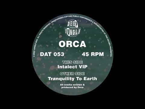 Orca — [DAT053[ Orca - Intalect VIP