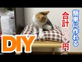 【保護猫】百均のみでキャットタワーを作ってみた！
