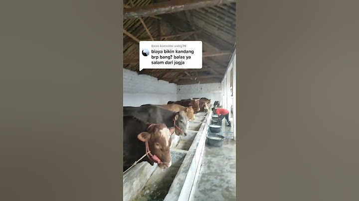 modal bikin kandang sapi untuk pemula
