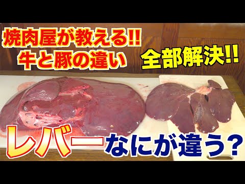 [pork liver and beef liver] How is the liver different? I will explain !!
