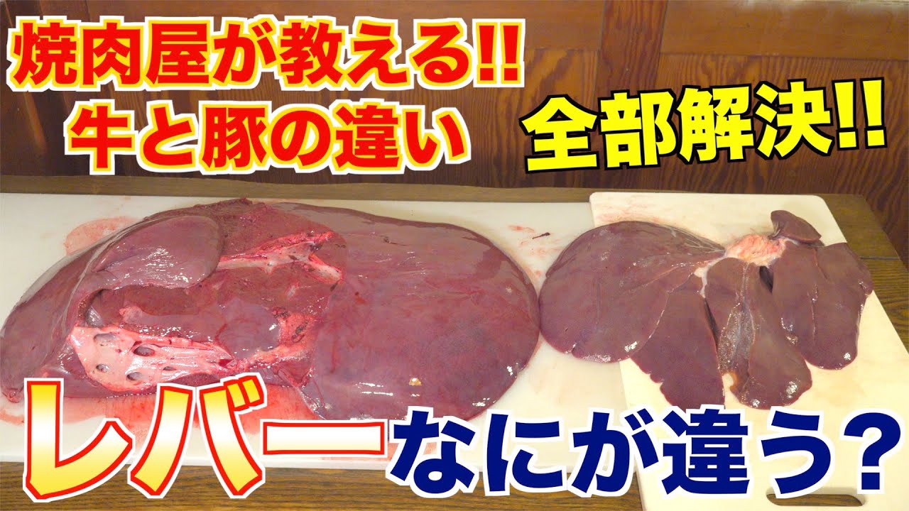 Pork Liver And Beef Liver How Is The Liver Different I Will Explain Youtube
