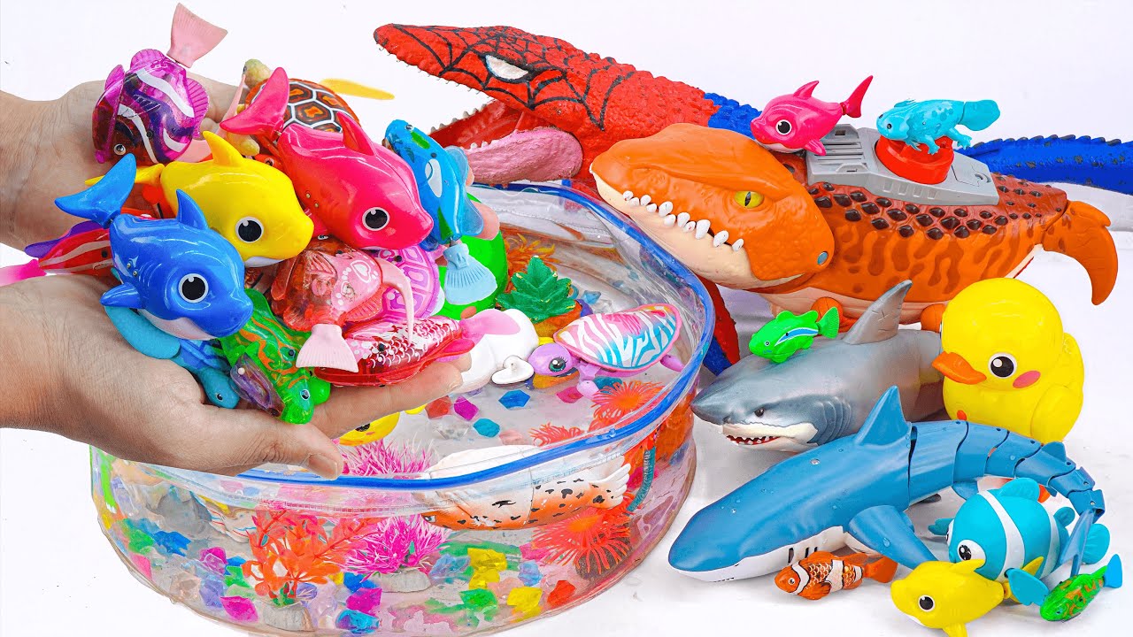 [Toy asmr] Blue Whale & Turtle & Baby Shark & Nimo Fish &Pink Aquarium ...